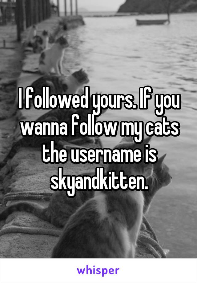 I followed yours. If you wanna follow my cats the username is
skyandkitten.