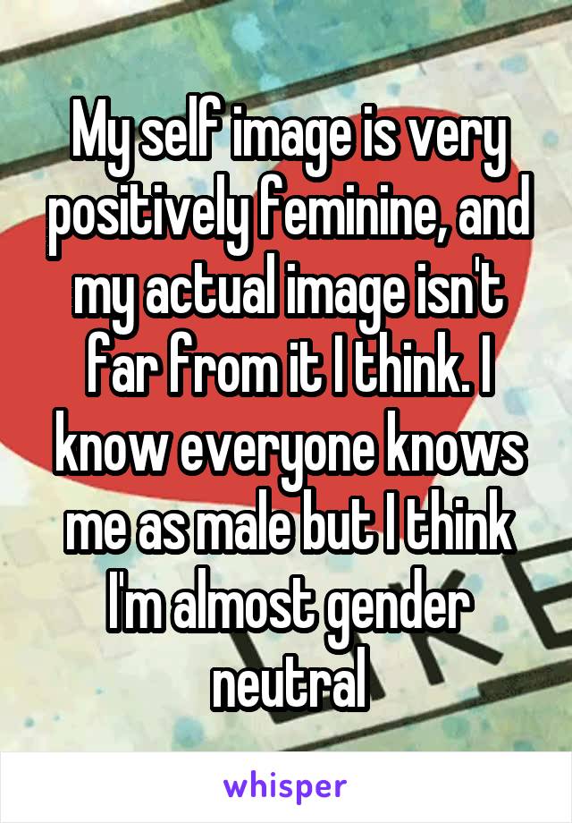 My self image is very positively feminine, and my actual image isn't far from it I think. I know everyone knows me as male but I think I'm almost gender neutral