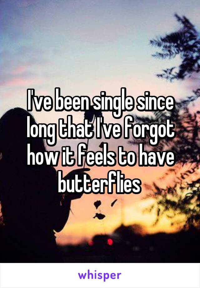 I've been single since long that I've forgot how it feels to have butterflies 