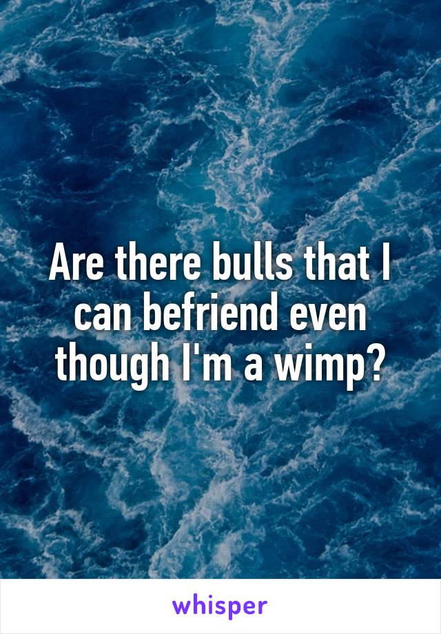 Are there bulls that I can befriend even though I'm a wimp?