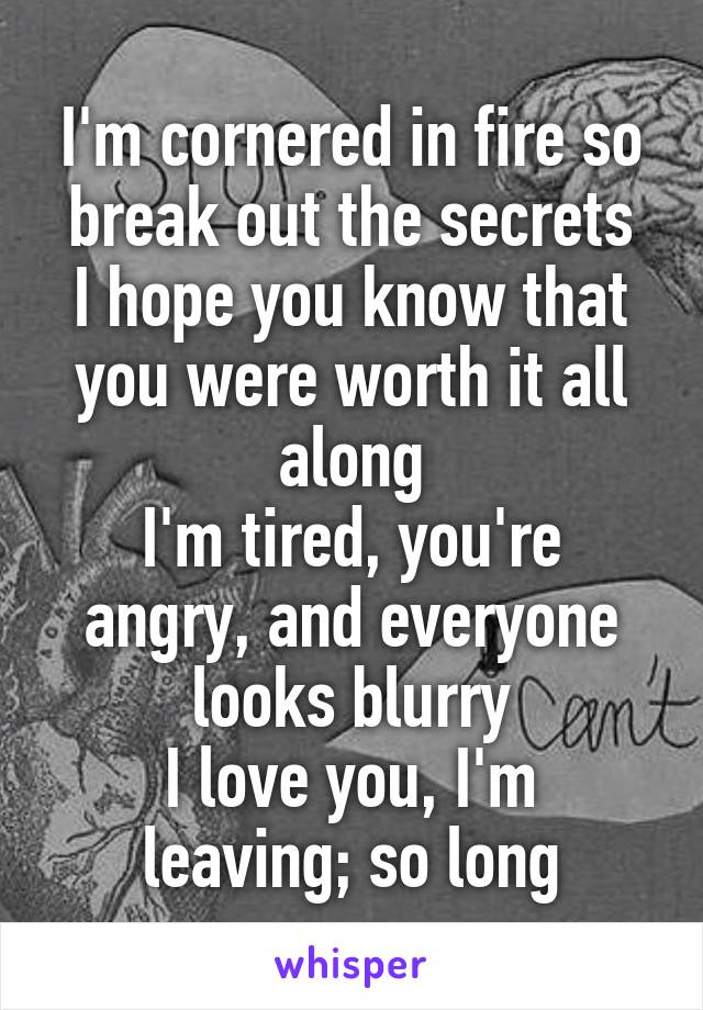 I'm cornered in fire so break out the secrets
I hope you know that you were worth it all along
I'm tired, you're angry, and everyone looks blurry
I love you, I'm leaving; so long