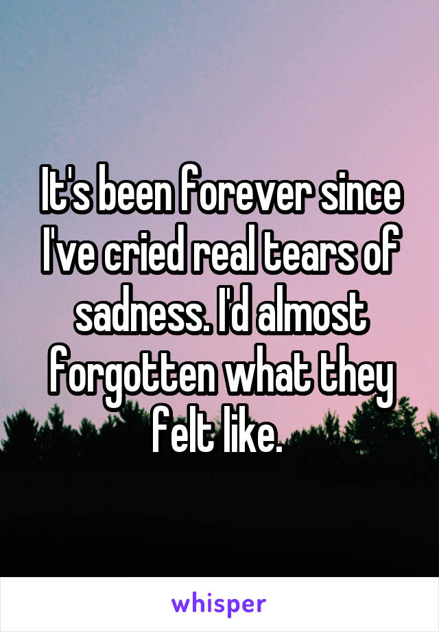 It's been forever since I've cried real tears of sadness. I'd almost forgotten what they felt like. 