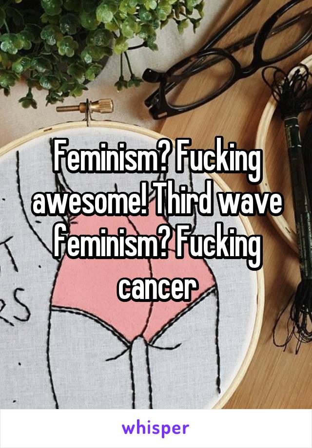 Feminism? Fucking awesome! Third wave feminism? Fucking cancer