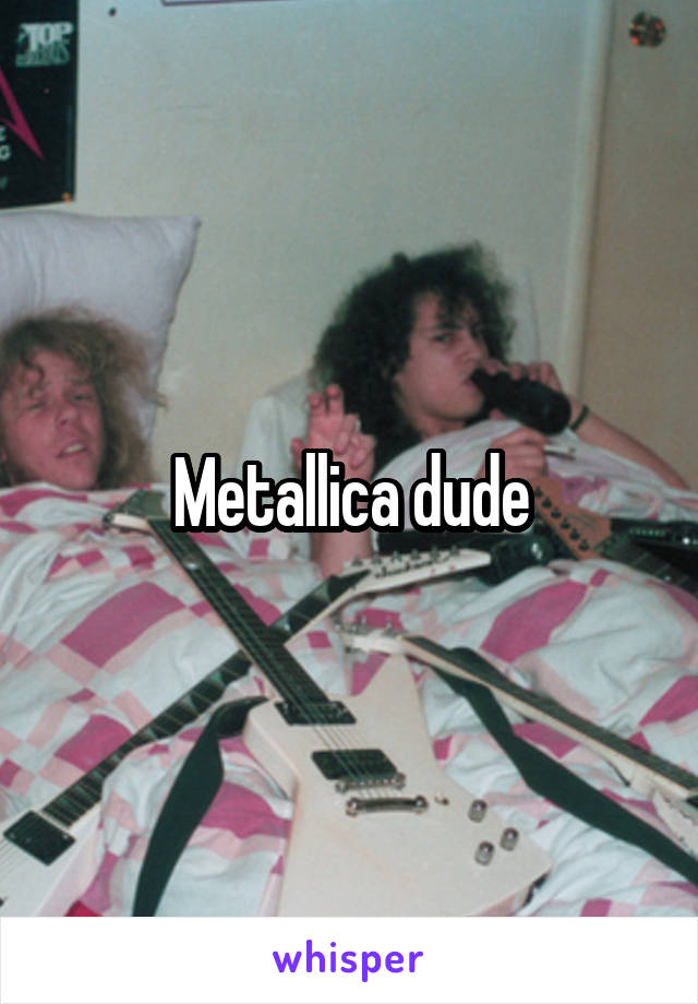 Metallica dude