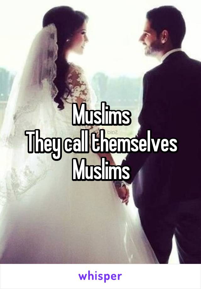 Muslims
They call themselves Muslims