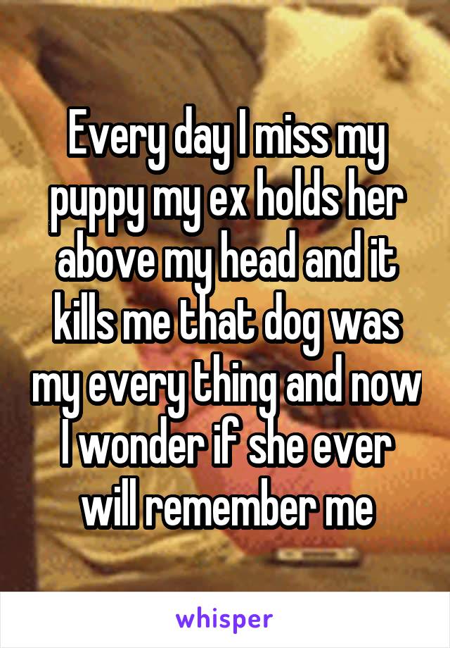 Every day I miss my puppy my ex holds her above my head and it kills me that dog was my every thing and now I wonder if she ever will remember me