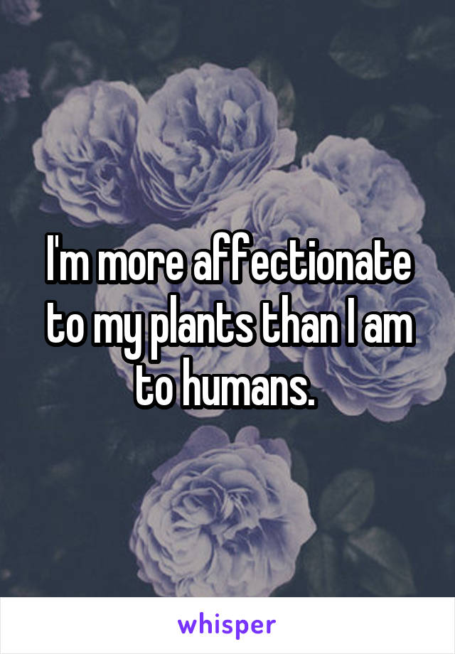 I'm more affectionate to my plants than I am to humans. 