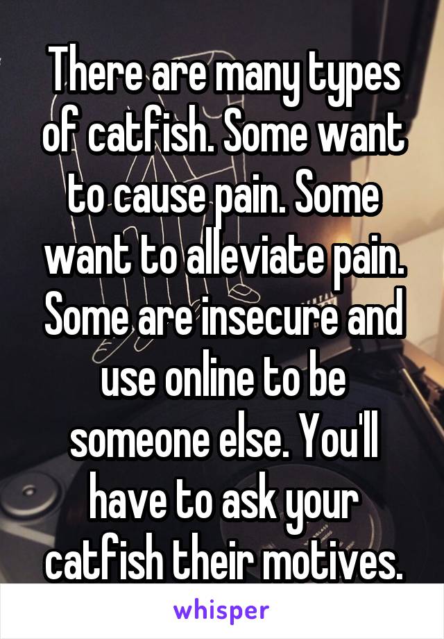 There are many types of catfish. Some want to cause pain. Some want to alleviate pain. Some are insecure and use online to be someone else. You'll have to ask your catfish their motives.