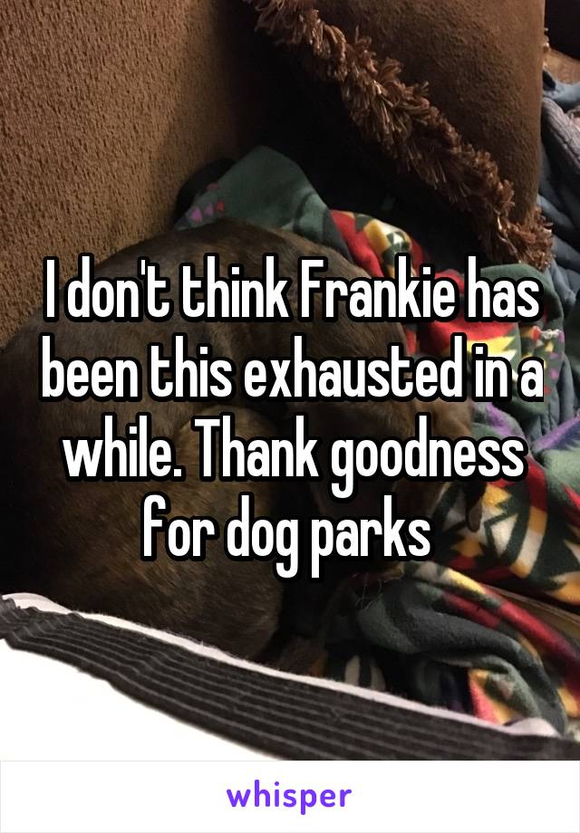 I don't think Frankie has been this exhausted in a while. Thank goodness for dog parks 