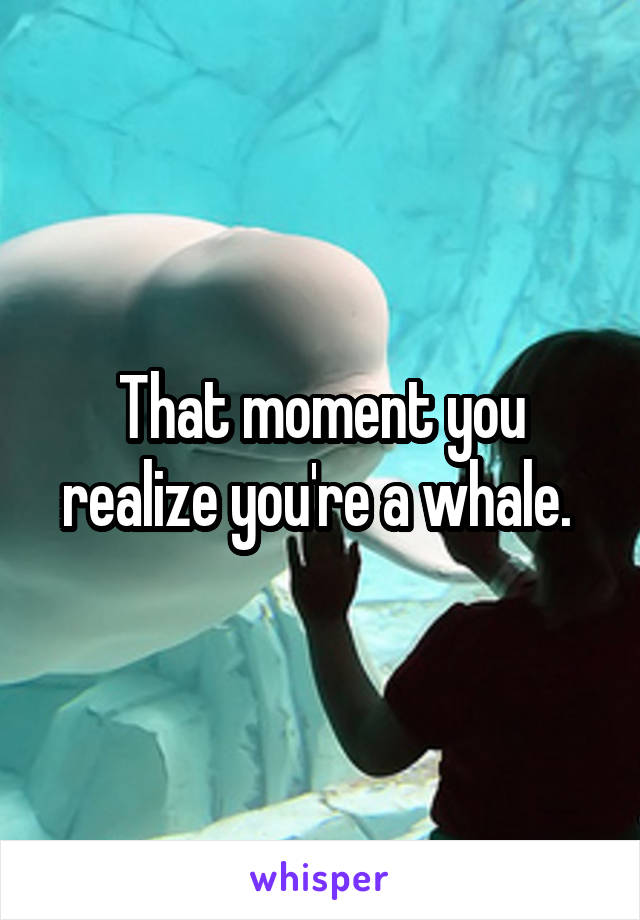 That moment you realize you're a whale. 