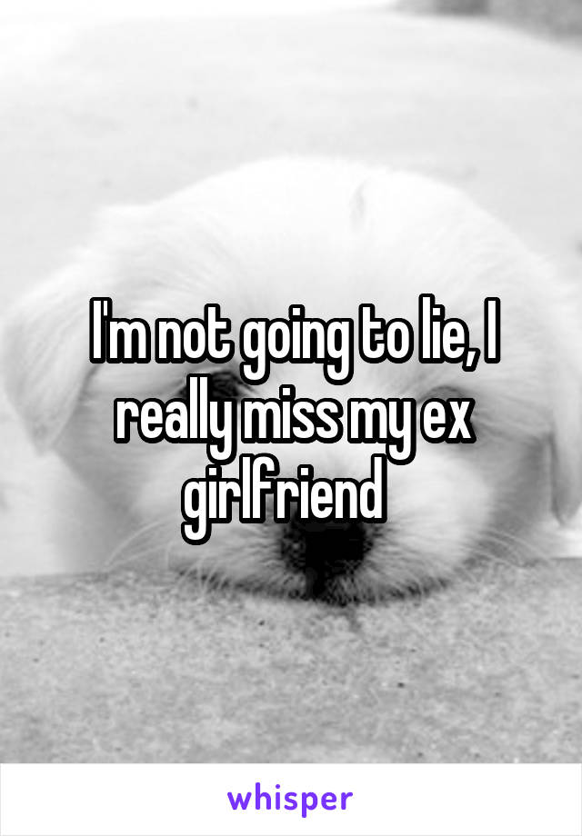 I'm not going to lie, I really miss my ex girlfriend  