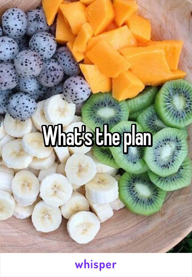 What's the plan