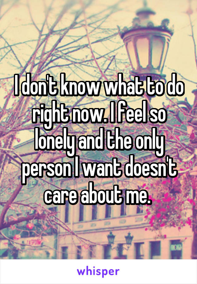 I don't know what to do right now. I feel so lonely and the only person I want doesn't care about me. 