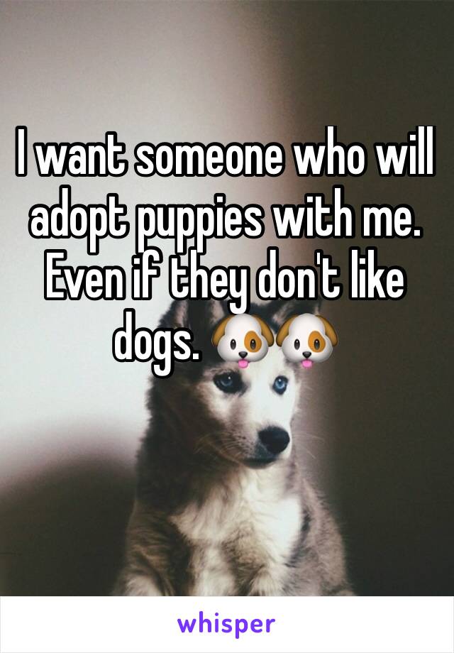 I want someone who will adopt puppies with me. Even if they don't like dogs. 🐶🐶 