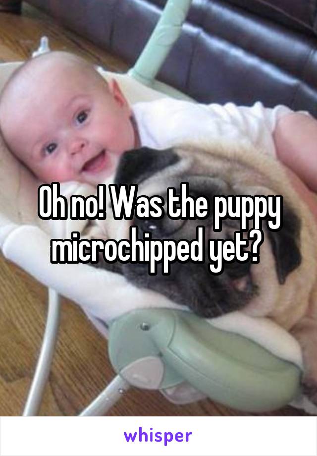 Oh no! Was the puppy microchipped yet? 