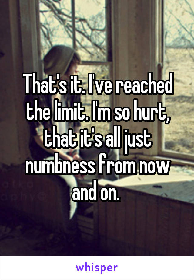 That's it. I've reached the limit. I'm so hurt, that it's all just numbness from now and on. 