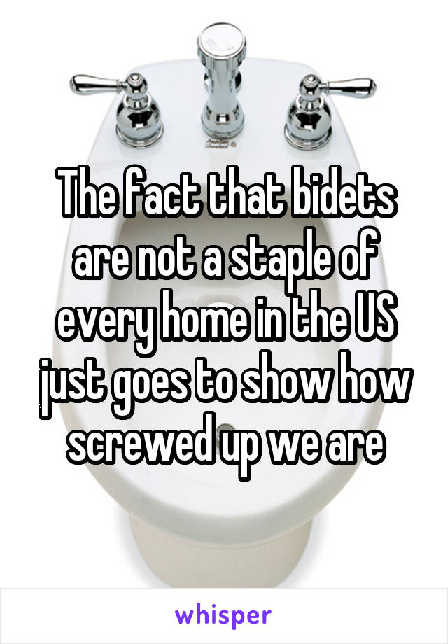 The fact that bidets are not a staple of every home in the US just goes to show how screwed up we are