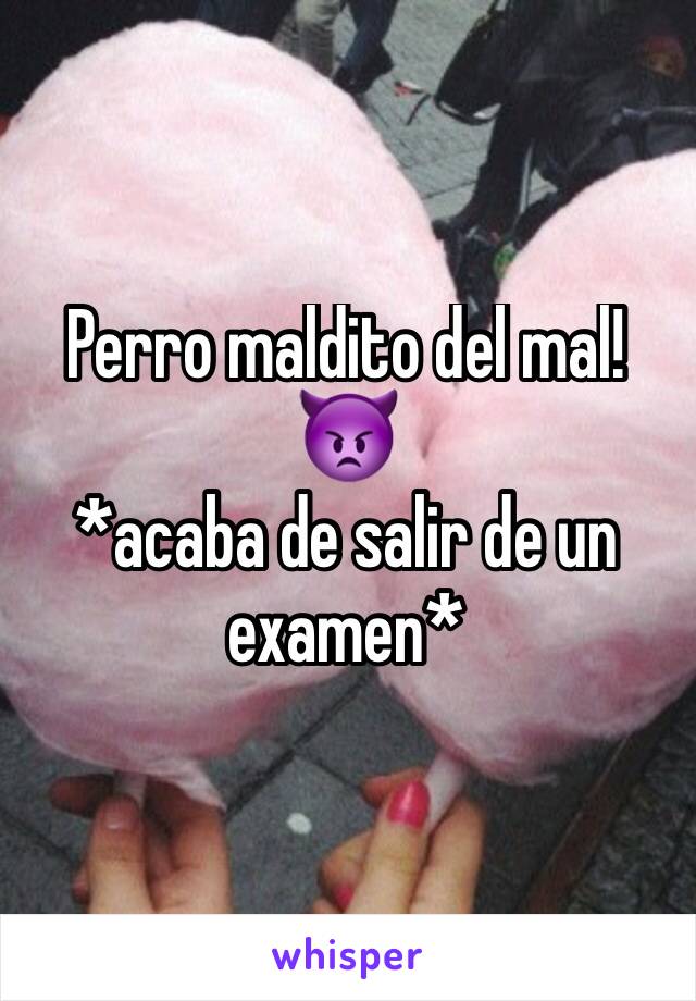 Perro maldito del mal!  👿
*acaba de salir de un examen*