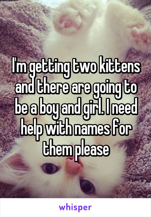 I'm getting two kittens and there are going to be a boy and girl. I need help with names for them please