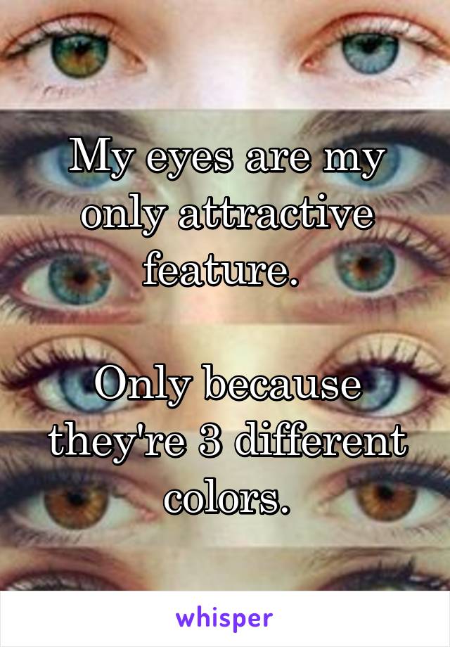 My eyes are my only attractive feature. 

Only because they're 3 different colors.