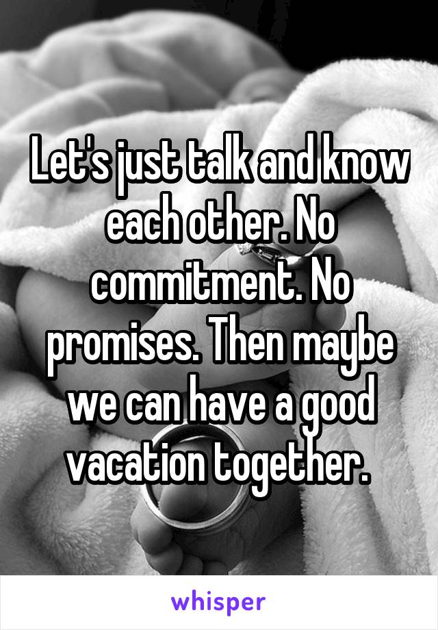 Let's just talk and know each other. No commitment. No promises. Then maybe we can have a good vacation together. 