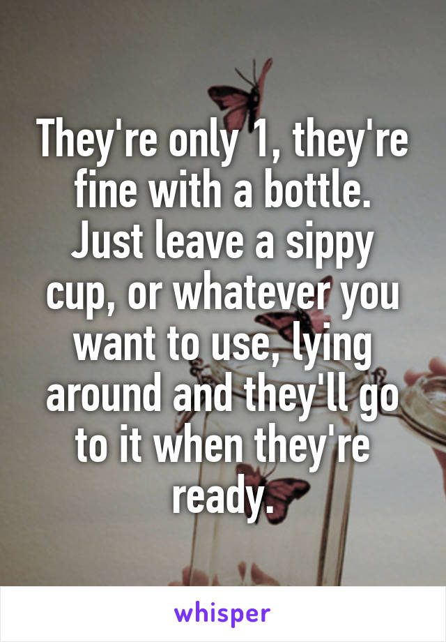 They're only 1, they're fine with a bottle.
Just leave a sippy cup, or whatever you want to use, lying around and they'll go to it when they're ready.