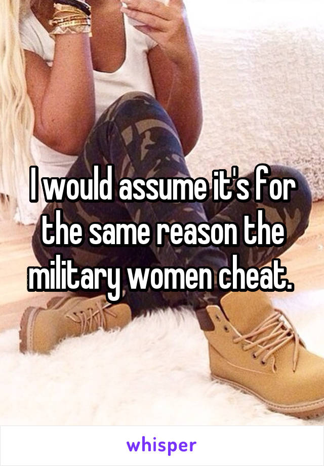 I would assume it's for the same reason the military women cheat. 