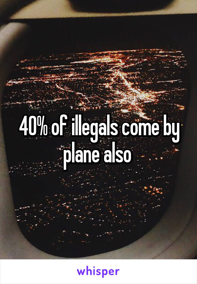 40% of illegals come by plane also 