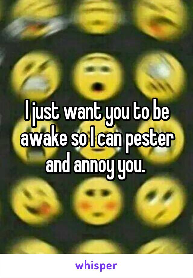 I just want you to be awake so I can pester and annoy you. 