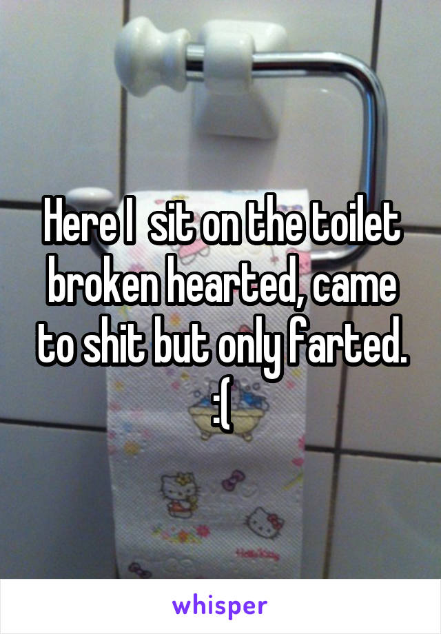 Here I  sit on the toilet broken hearted, came to shit but only farted. :(