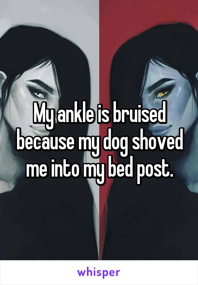 My ankle is bruised because my dog shoved me into my bed post.