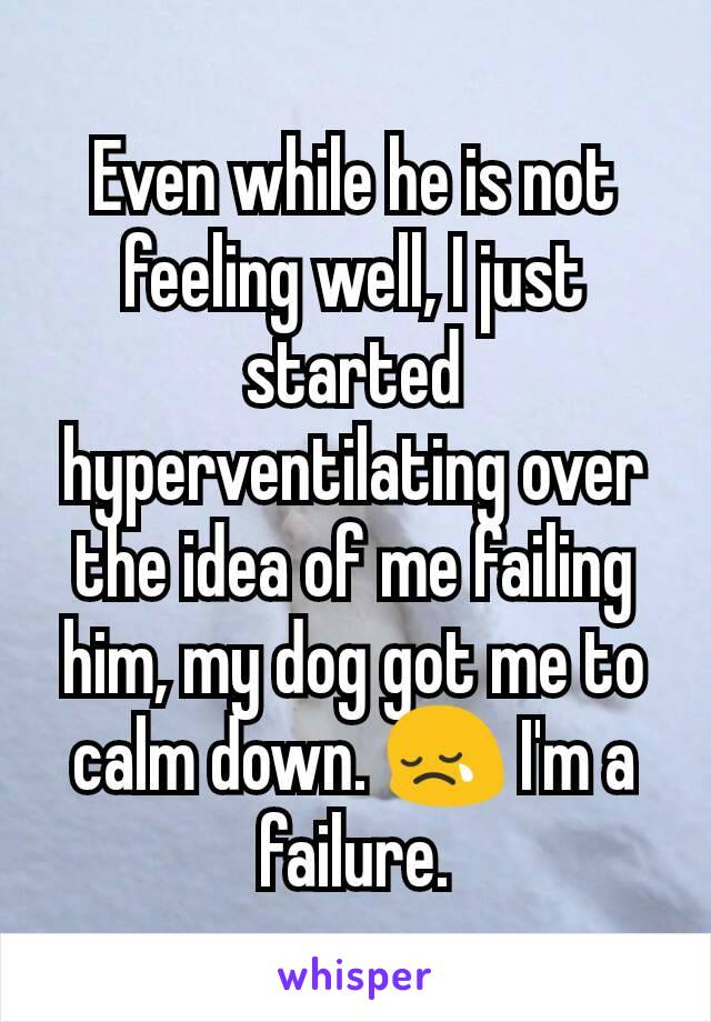 Even while he is not feeling well, I just started hyperventilating over the idea of me failing him, my dog got me to calm down. 😢 I'm a failure.