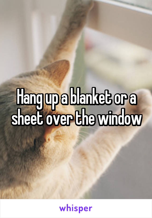 Hang up a blanket or a sheet over the window