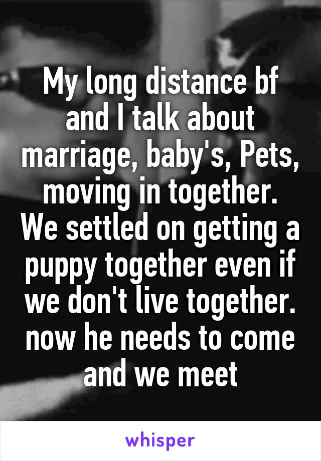 My long distance bf and I talk about marriage, baby's, Pets, moving in together. We settled on getting a puppy together even if we don't live together. now he needs to come and we meet