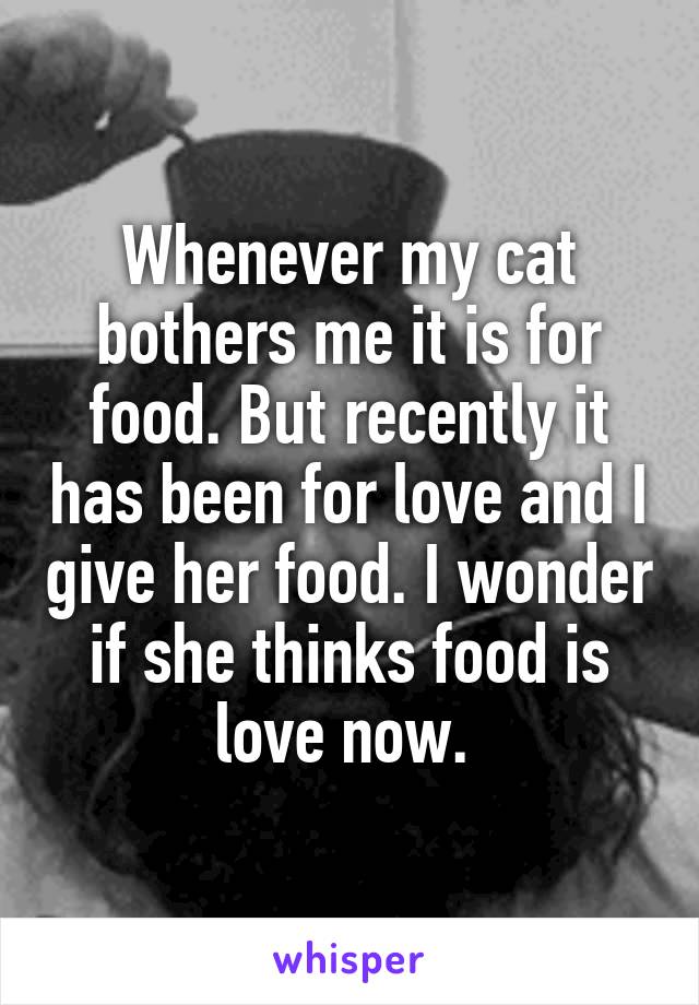 Whenever my cat bothers me it is for food. But recently it has been for love and I give her food. I wonder if she thinks food is love now. 