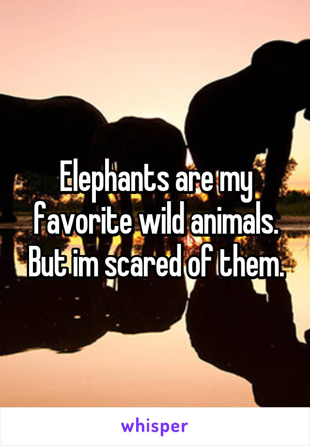 Elephants are my favorite wild animals. But im scared of them.