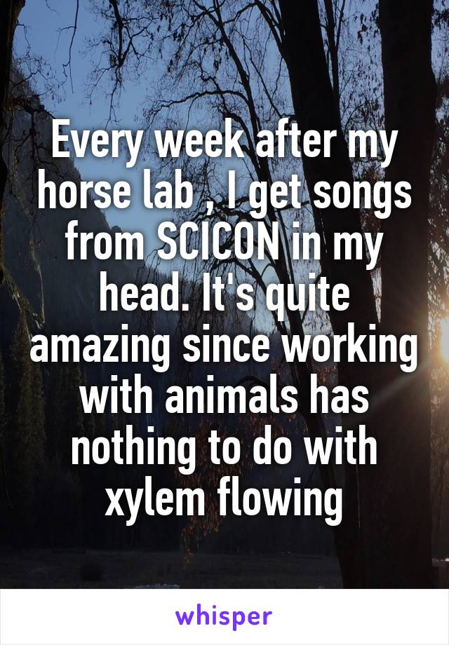 Every week after my horse lab , I get songs from SCICON in my head. It's quite amazing since working with animals has nothing to do with xylem flowing