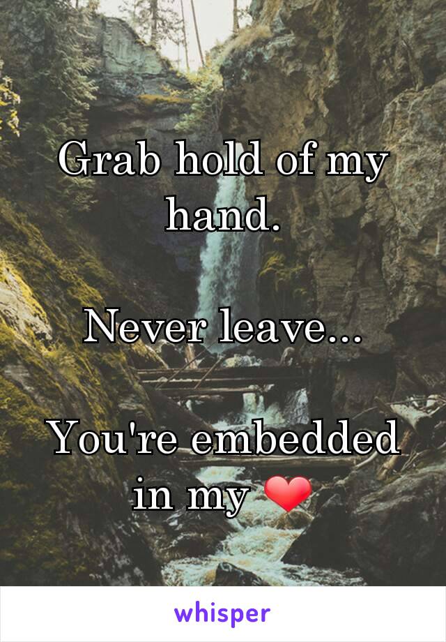 Grab hold of my hand.

Never leave...

You're embedded in my ❤