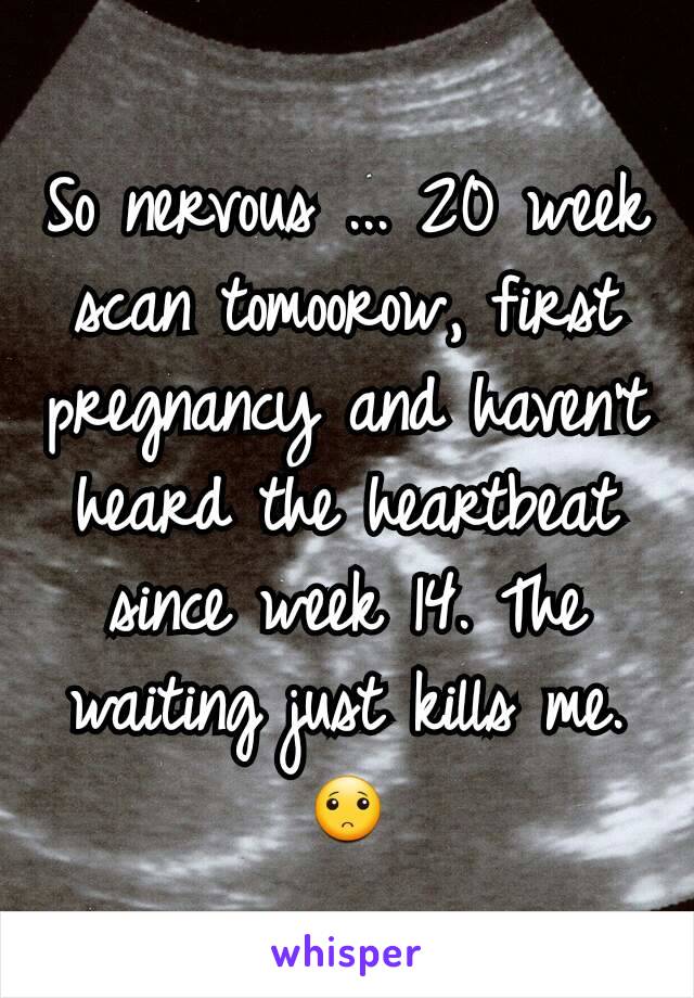 So nervous ... 20 week scan tomoorow, first pregnancy and haven't heard the heartbeat since week 14. The waiting just kills me. 🙁