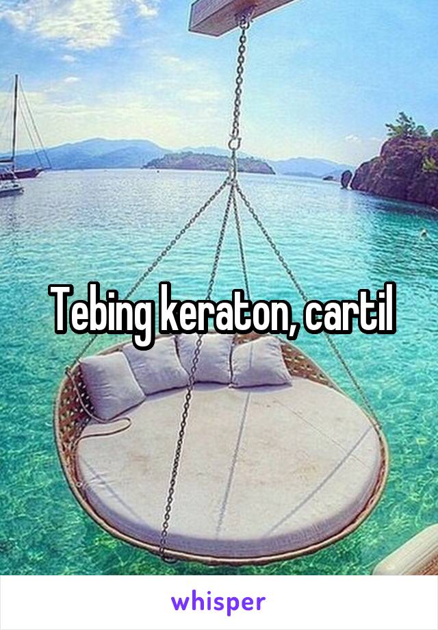 Tebing keraton, cartil