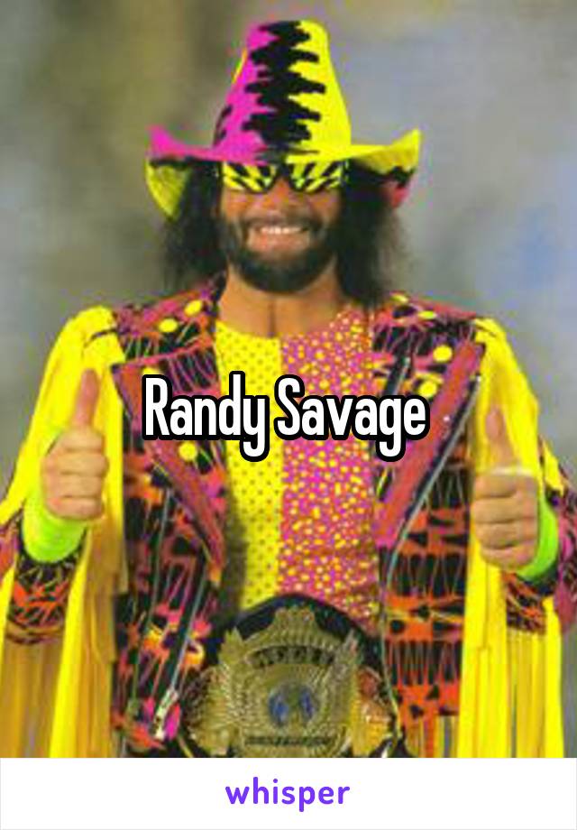 Randy Savage 