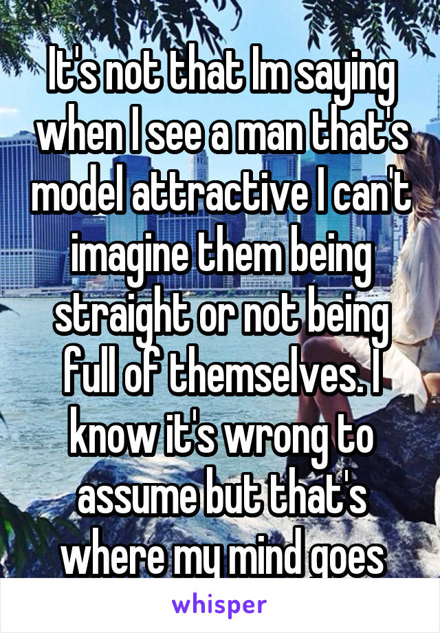 It's not that Im saying when I see a man that's model attractive I can't imagine them being straight or not being full of themselves. I know it's wrong to assume but that's where my mind goes