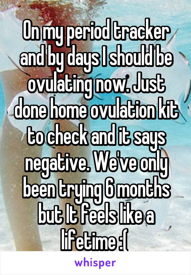 On my period tracker and by days I should be ovulating now. Just done home ovulation kit to check and it says negative. We've only been trying 6 months but It feels like a lifetime :( 