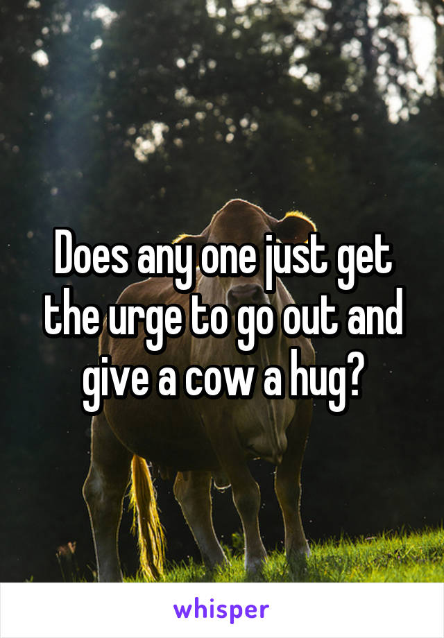 Does any one just get the urge to go out and give a cow a hug?