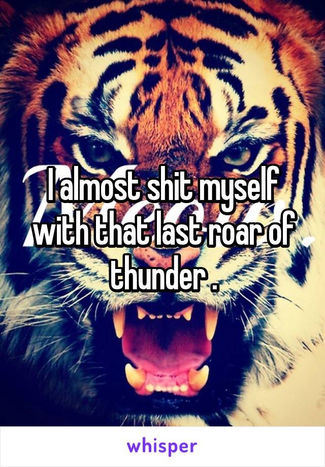 I almost shit myself with that last roar of thunder .