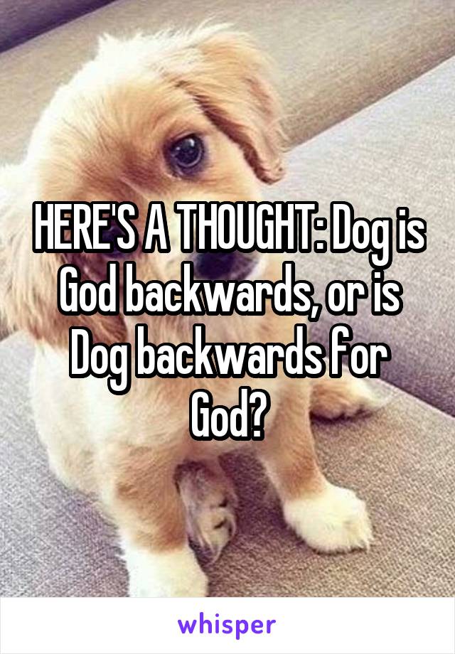 HERE'S A THOUGHT: Dog is God backwards, or is Dog backwards for God?