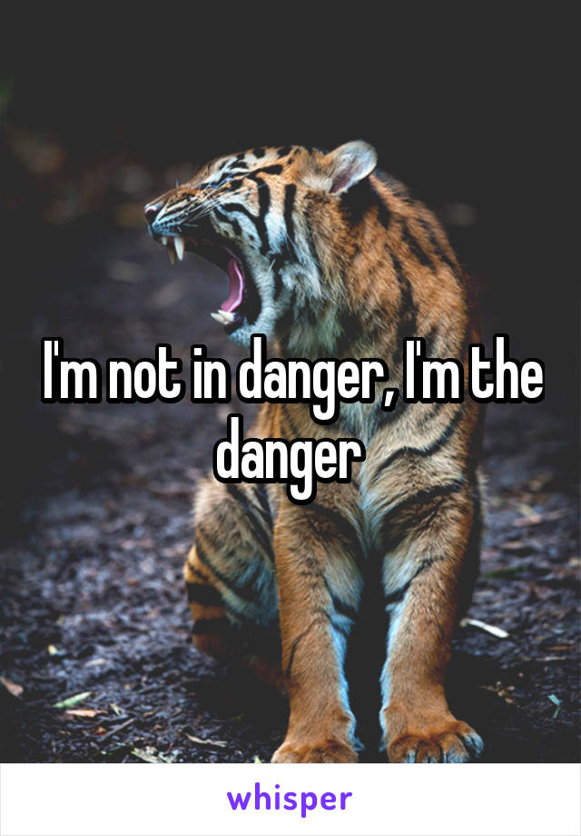 I'm not in danger, I'm the danger 