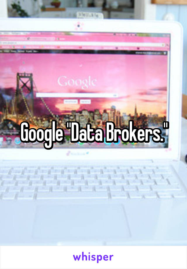 Google "Data Brokers."