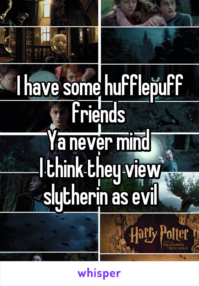 I have some hufflepuff friends 
Ya never mind 
I think they view slytherin as evil