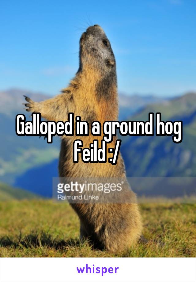 Galloped in a ground hog feild :/ 